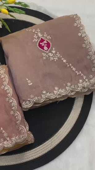 Dior silk partywear saree video highlighting embroidery, cutwork border, and contrast blouse styling - WishTown Fashion Club