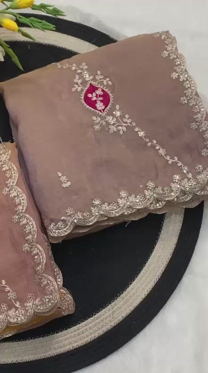 Dior silk partywear saree video highlighting embroidery, cutwork border, and contrast blouse styling - WishTown Fashion Club