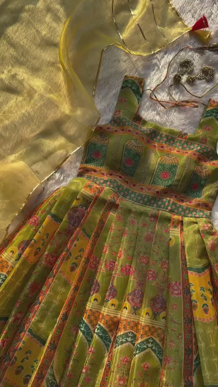 Tangerine olive green Jimmy organza silk Anarkali gown full flare product video - WishTown Fashion Club